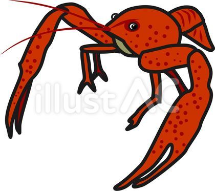 ザリガニのイラスト