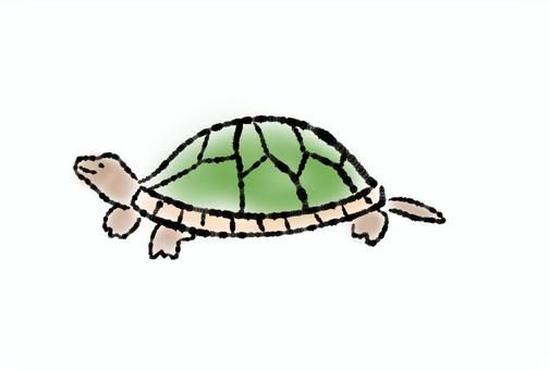 亀 亀 亀,動物,和風のイラスト素材