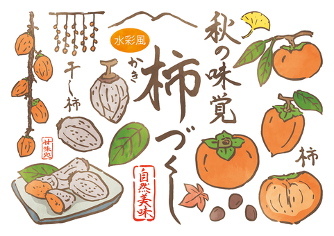 筆書き-秋の味覚柿づくし-水彩風 秋,秋の味覚,柿,葉,干し柿,果実,甘味,種,山,紅葉のイラスト素材