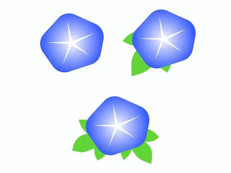 Illustration, morning glory, flower, plant, 