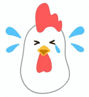 えーんと泣いた表情のにわとりの顔 鶏,顔,にわとり,悲しい,泣く,涙,鳥,チキン,酉,雄鶏のイラスト素材