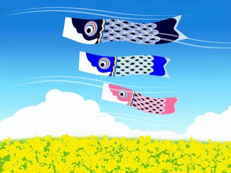 Carp streaming frame 06, carp streamer, may, spring, JPG and PNG