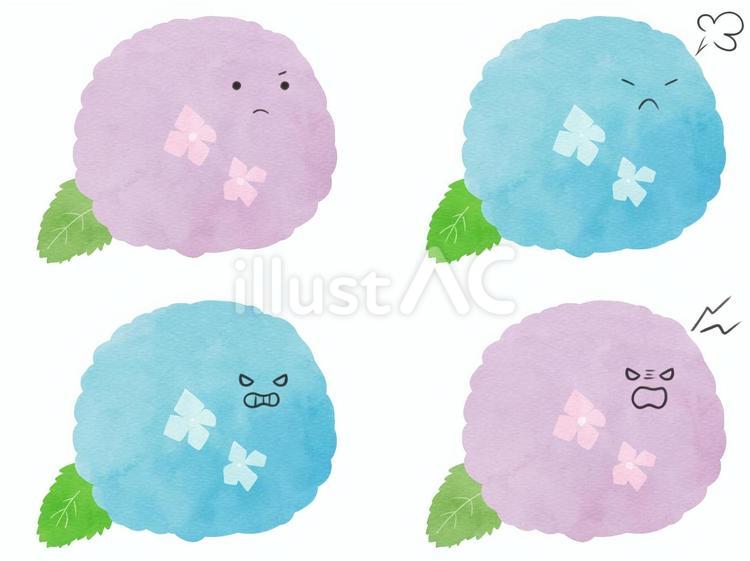 花のキャラの表情セット　怒　紫陽花 紫陽花,花,キャラクターのイラスト素材
