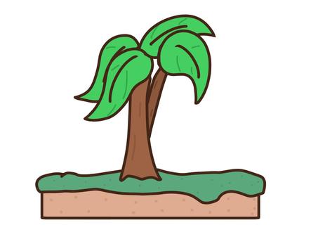 Uninhabited island, wood, trees, island, JPG and PNG