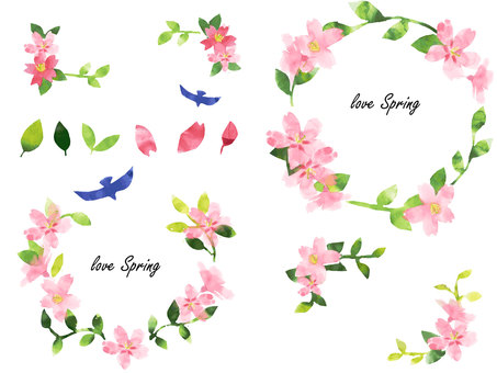 Sakura watercolor frame set, cherry blossoms, spring, watercolor, JPG, PNG and AI