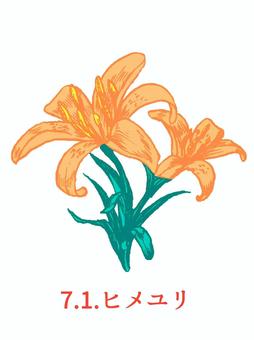 誕生花(７月１日) 花,ヒメユリ,誕生花,手描き,７月１日のイラスト素材