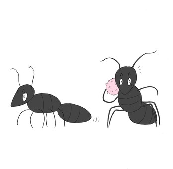 金平糖イラスト 無料イラストなら イラストac