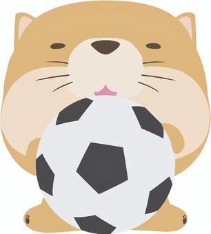 サッカーボール_犬_茶 サッカー,ボール,犬,スポーツ,動物,戌,戌年,干支,かわいい,イラストのイラスト素材