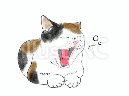 ねこ あくびする 05 三毛