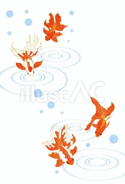 SummerCard24101