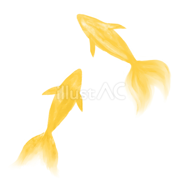 イラスト素材　魚　水彩　手描き　 魚,金魚,鯉のイラスト素材