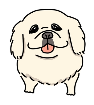 ペキニーズホワイト 犬,動物,ペット,かわいい,デフォルメ,わんこ,キャラクター,毛色,手描き,はなぺちゃのイラスト素材