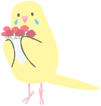 Parakeet holding a bouquet of flowers for Mother's Day, , JPG and PNG