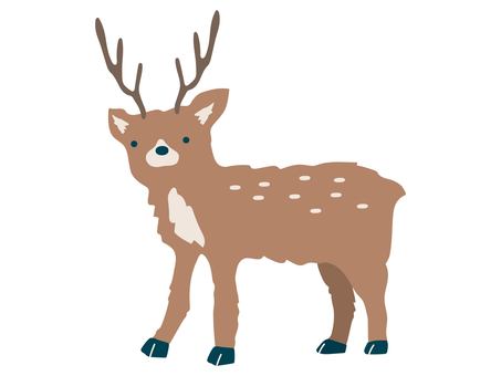 シカ 鹿,小鹿,動物,生きもの,しか,角,斑点,手描き,ラフタッチ,線なしのイラスト素材