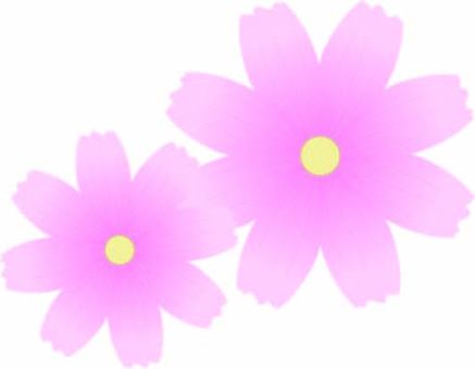 Cosmos 2, botanical, background material, cute, JPG, PNG and AI