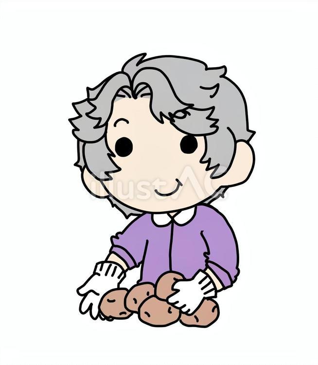 ジャガイモとおばあさん おばあさん,ジャガイモ,選別のイラスト素材