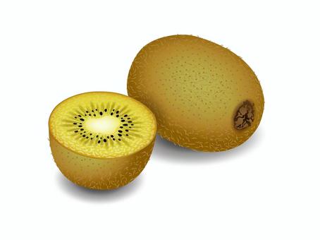 ゴールデンキウイ ゴールデンキウイ キウイ,フルーツ,ゴールデン,切り口,断面,カット,食べ物,果物,ビタミンc,食物繊維のイラスト素材