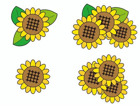 Illustration, sunflower, set, summer, 