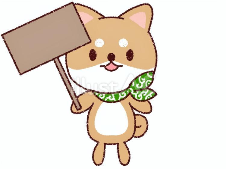 看板を持つ柴犬 犬,柴犬,豆柴のイラスト素材