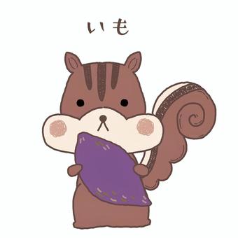 さつまいもを持ったリス文字入り 秋,さつまいも,芋ほり,野菜,収穫,持つ,リス,手書き,かわいい,しっぽのイラスト素材