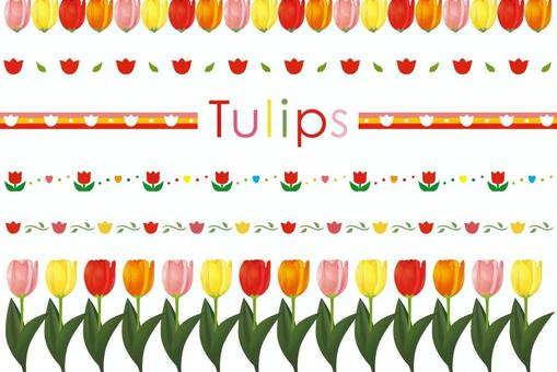 Tulip Lines, 郁金香, 花, 线, JPG 和 PNG