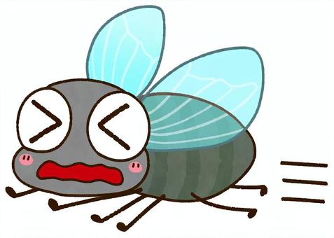 Illustration, fly, insect, pest, 