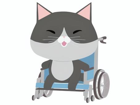 車椅子_猫 車椅子,猫,はちわれ,笑顔,動物,かわいい,医療のイラスト素材