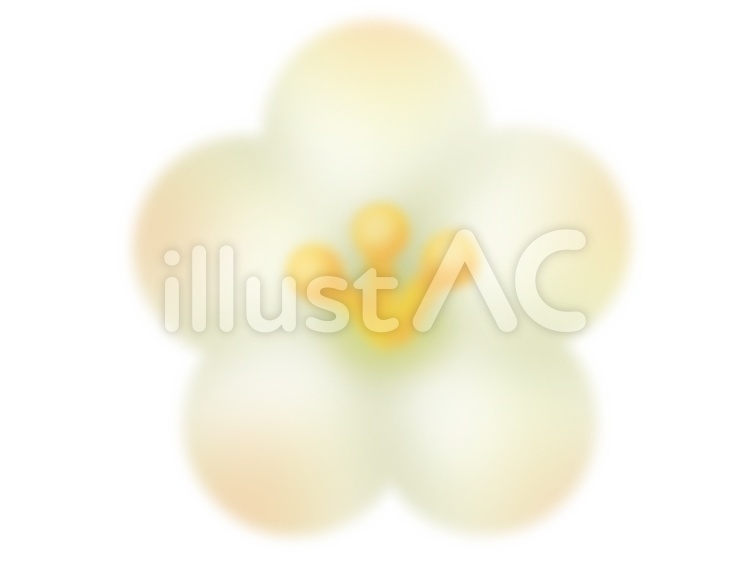 梅の花(白) 寒中,松竹梅,１月のイラスト素材