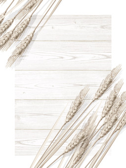 小麦色の麦穂と板の背景1　mugi009 麦穂,小麦色,リアル,ナチュラル,お洒落,自然,植物,大人っぽい,枠,背景のイラスト素材