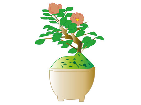 盆栽　椿 盆栽,椿,鑑賞,イラスト,植木,植物,赤い花,緑のイラスト素材