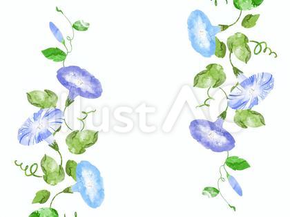 朝顔のイラストセット