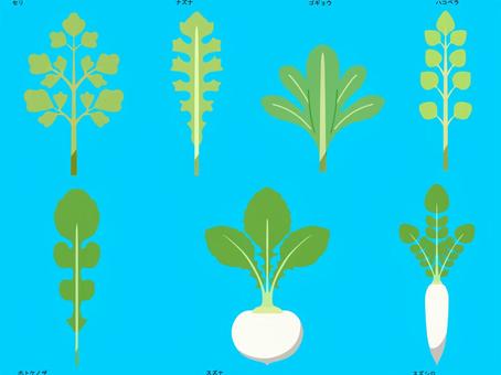 春の七草　枠無し 春,植物,食べ物,七草,セリ,ナズナ,ゴギョウ,ハコベラ,ホトケノザ,スズナのイラスト素材