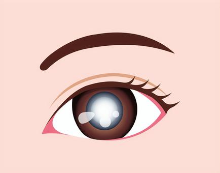 目の病気イラスト / 白内障 白内障,眼,目,病気,角膜,目玉,眼球,ヘルスケア,顔,医療のイラスト素材