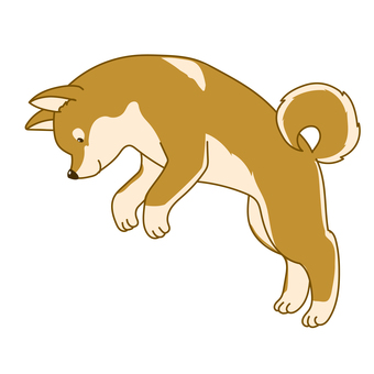 かわいい柴犬のシンプルイラストジャンプ 犬,ペット,柴犬,手描き,横向,嬉しい,かわいい,アクション,アニマル,挿絵のイラスト素材