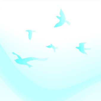 bird, bird, jump, feather, JPG and AI