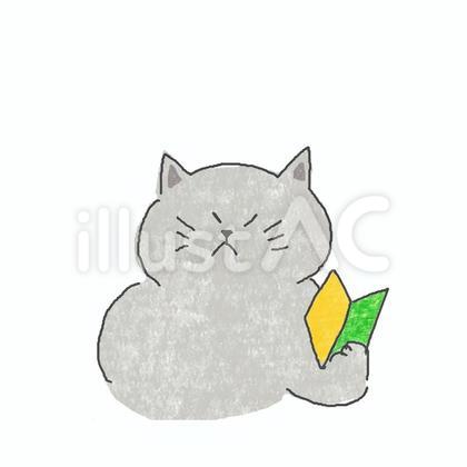 初心者のねこちゃん♪