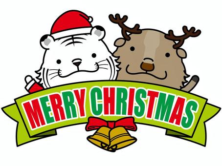 白虎さん 寅年 クリスマス