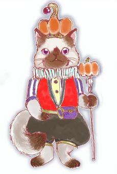 Illustration, halloween, gato, gato siamese, 