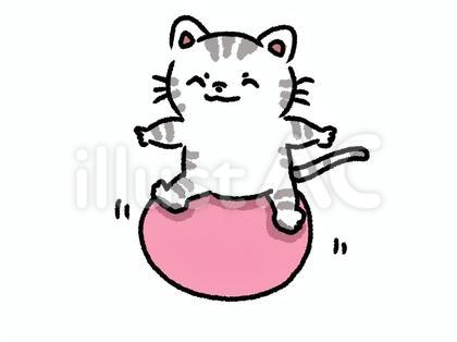 バランスボールとねこさん