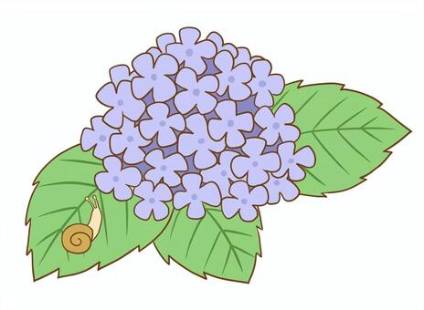 Blue hydrangea and snail, hydrangea, snails, flower, JPG and PNG