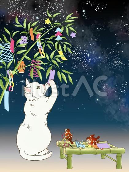 七夕飾りをする猫と雀(深い夜空タイプ)