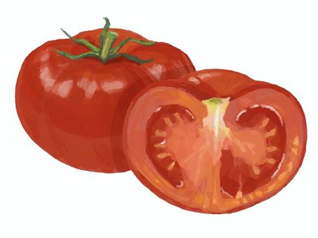 リアルすぎないトマト(１個＆半分カット) 食べ物,野菜,トマト,半分,断面,カット,緑黄色野菜,2分の1,夏野菜のイラスト素材