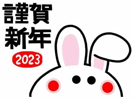 年賀状 うさぎ 謹賀新年