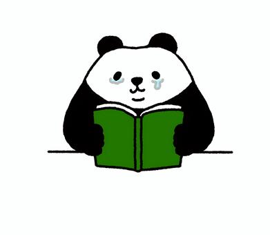 插图, 熊猫, 可爱的, 动物, 