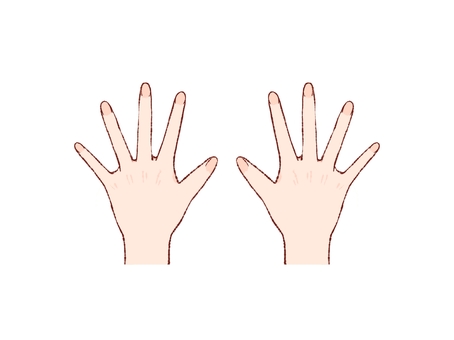 手の甲 手の甲,指,体,爪,右手,左手,素材のイラスト素材