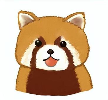 Red Panda 2, lesser panda, animal, creatures, JPG and PNG