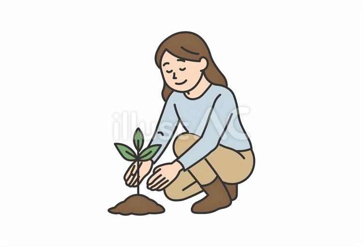 苗木を植える女性のイラスト 苗木,環境保護,サステナブルのイラスト素材