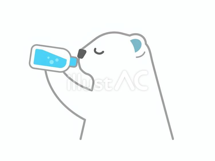 水分補給するシロクマのイラスト シロクマ,動物,熱中症のイラスト素材