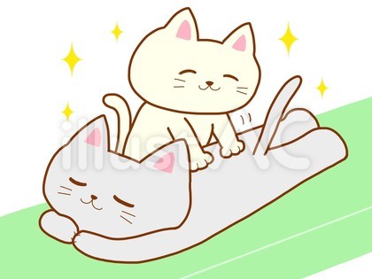 癒しの整体全身マッサージ猫さん