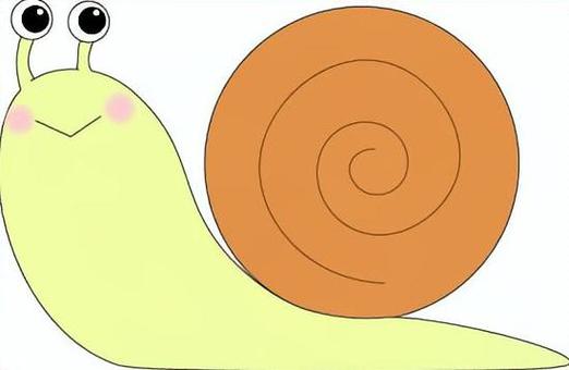 かたつむり カタツムリ,かたつむり,梅雨,雨,6月のイラスト素材